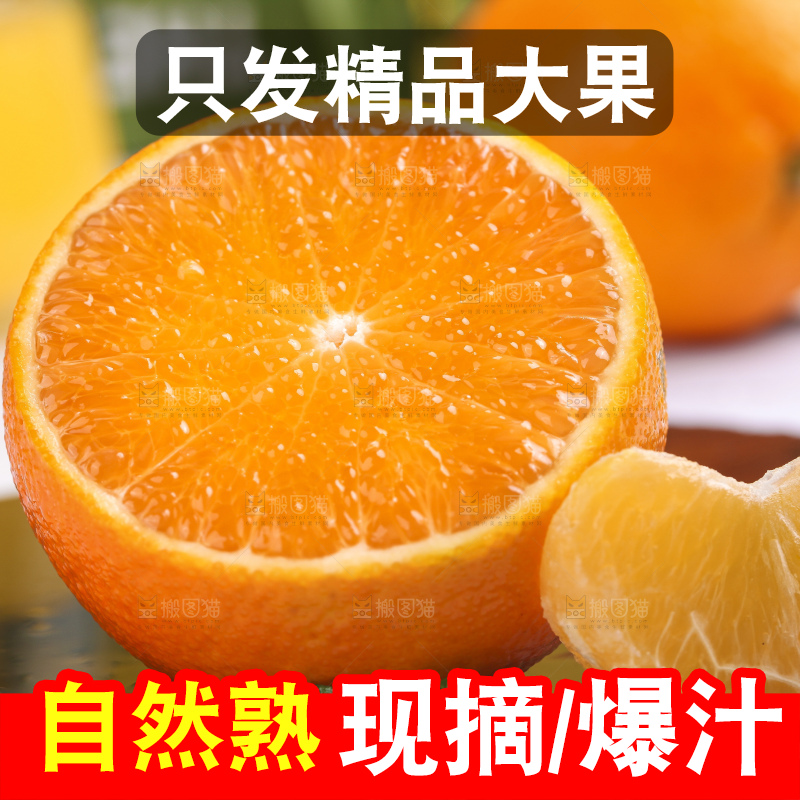 浅底上的爱媛果冻橙