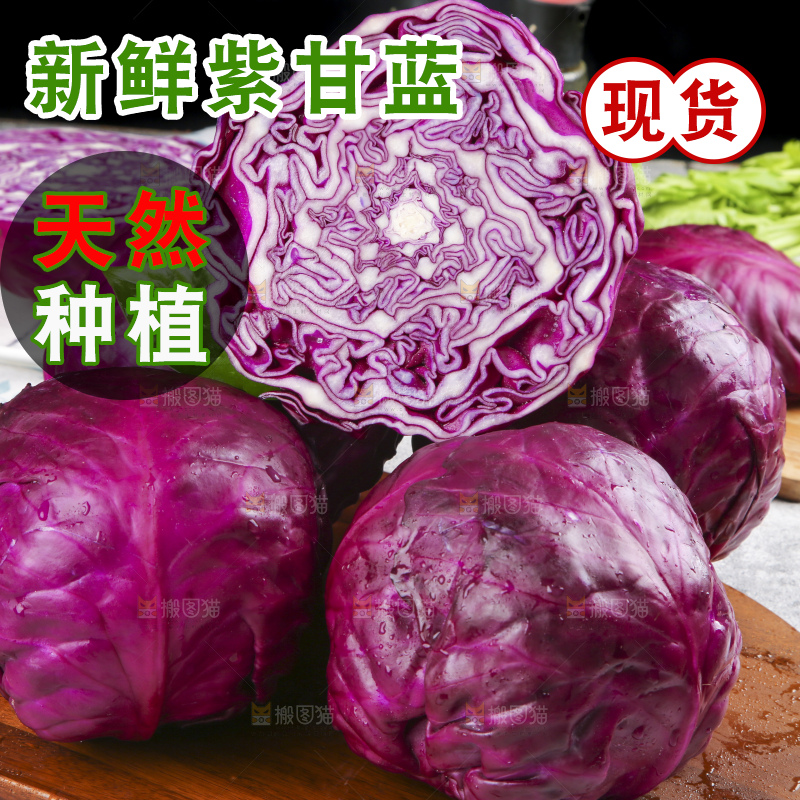浅底上的紫甘蓝