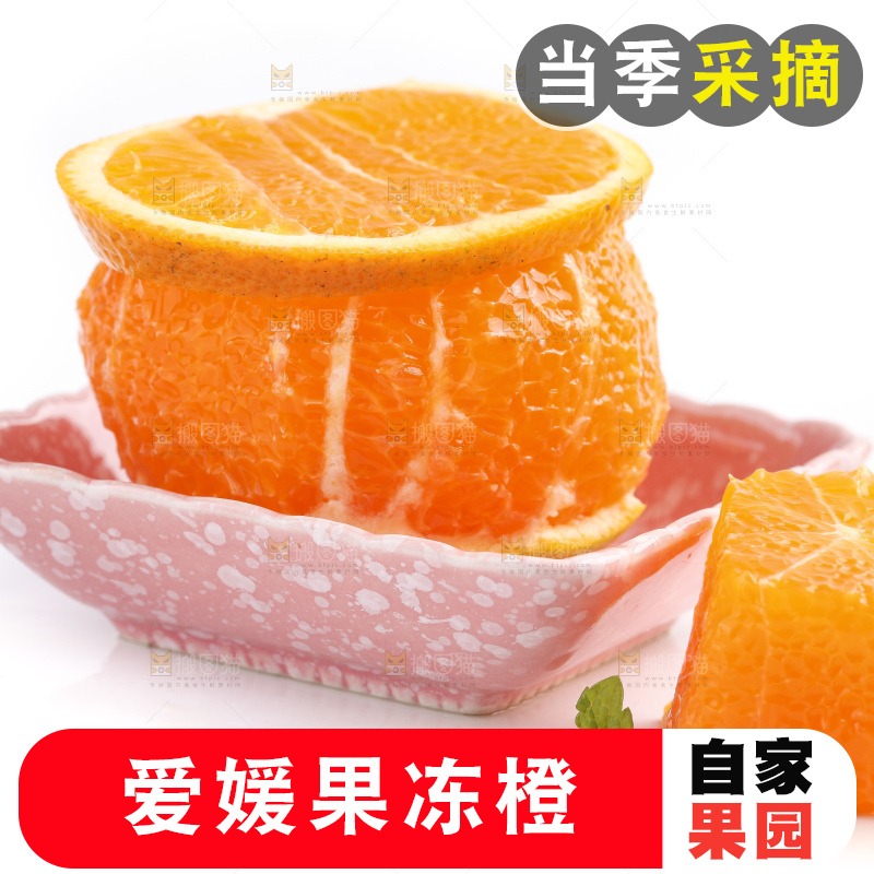 白底上的爱媛果冻橙