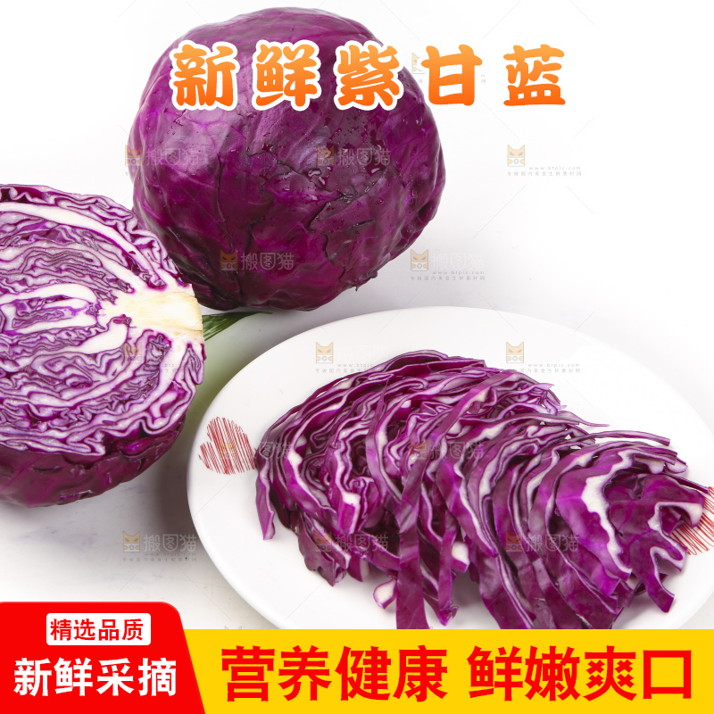 白底上的紫甘蓝