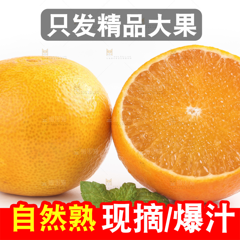白底上的爱媛果冻橙