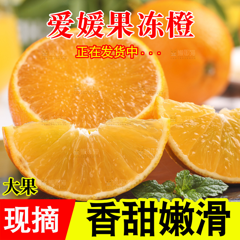 浅底上的爱媛果冻橙