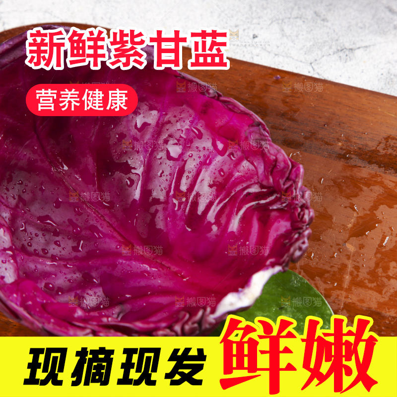 浅底上的紫甘蓝