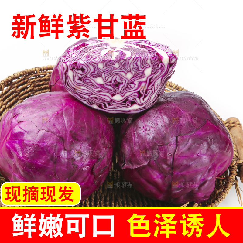 白底上的紫甘蓝