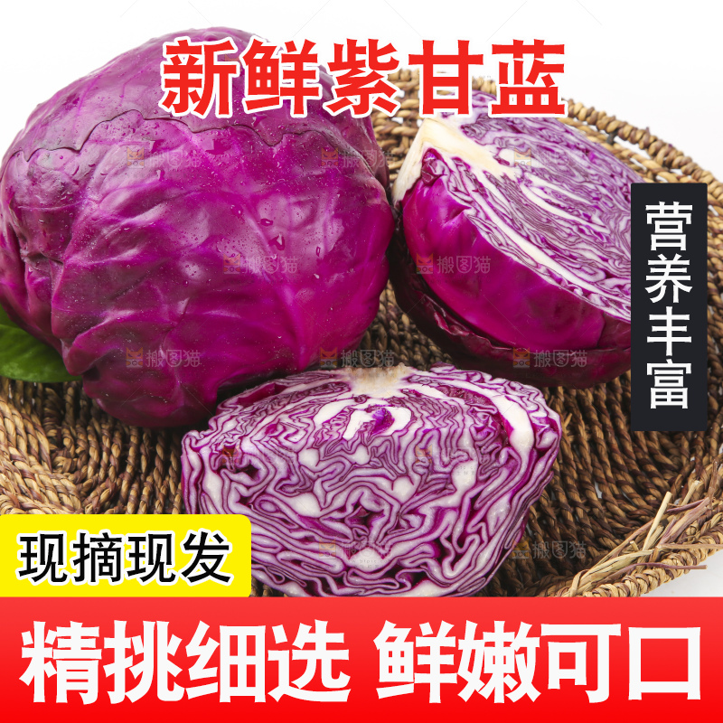 白底上的紫甘蓝