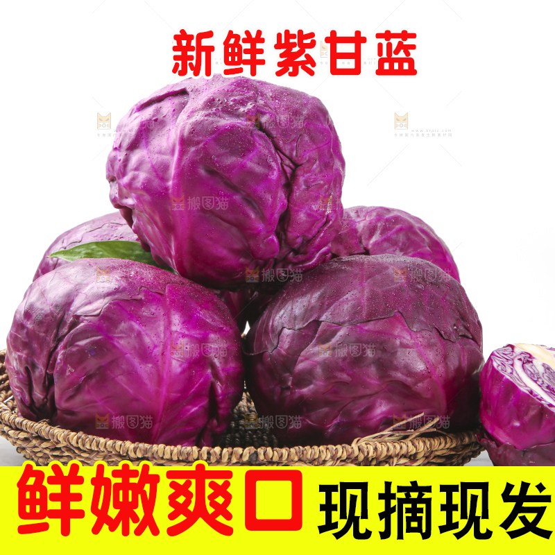 白底上的紫甘蓝
