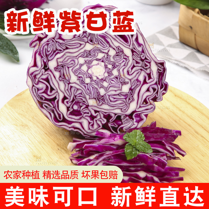浅底上的紫甘蓝