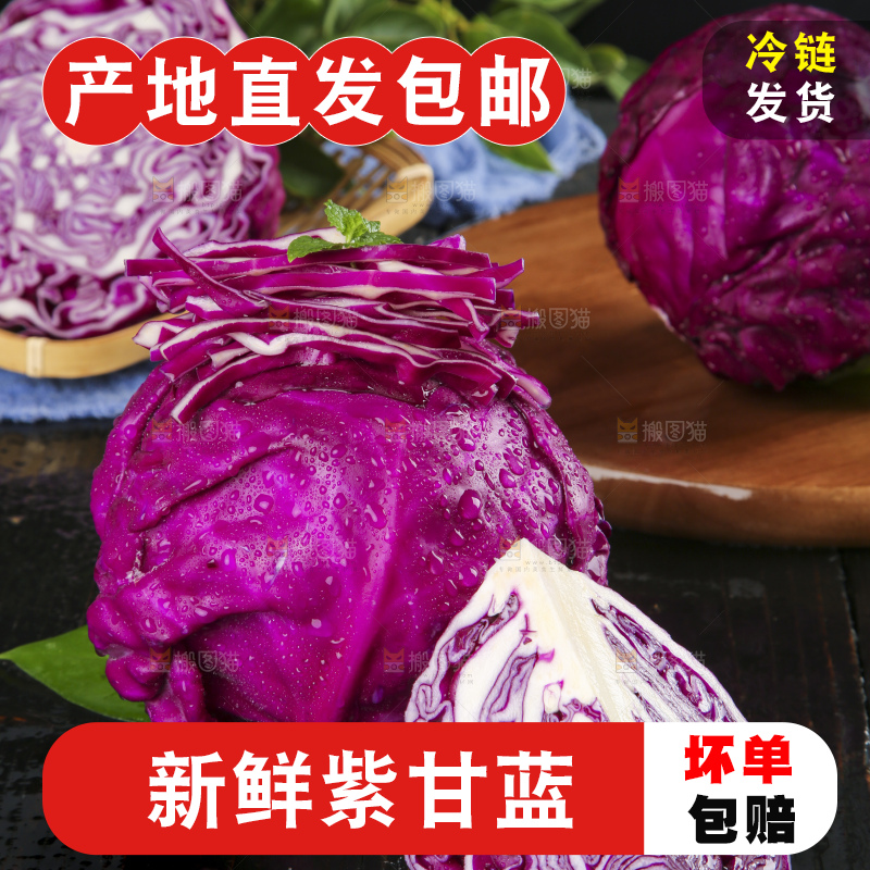 深底上的紫甘蓝