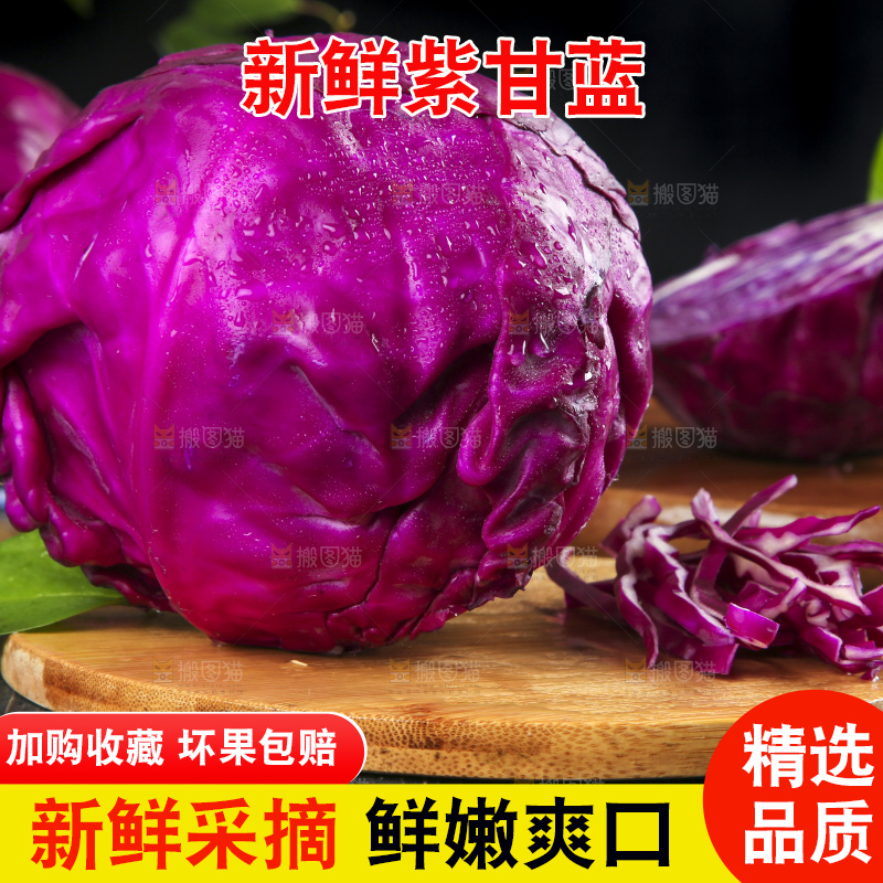 深底上的紫甘蓝