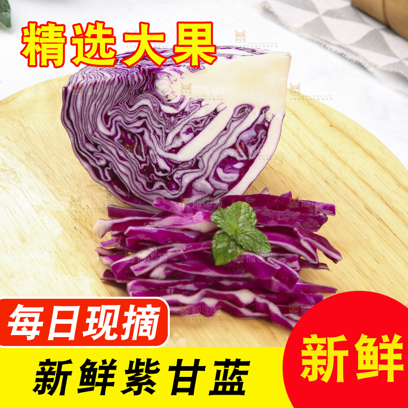 浅底上的紫甘蓝