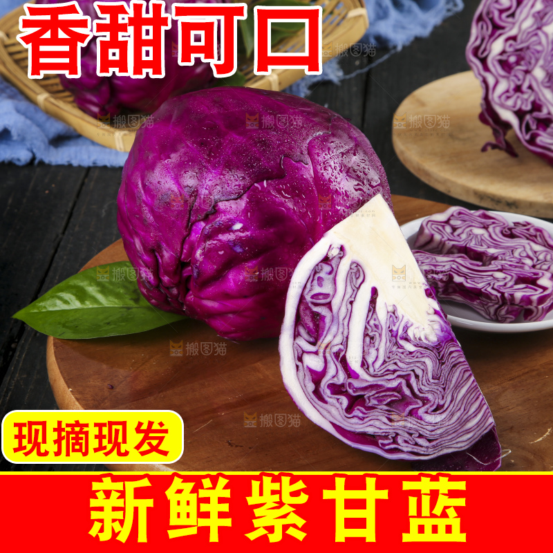 深底上的紫甘蓝