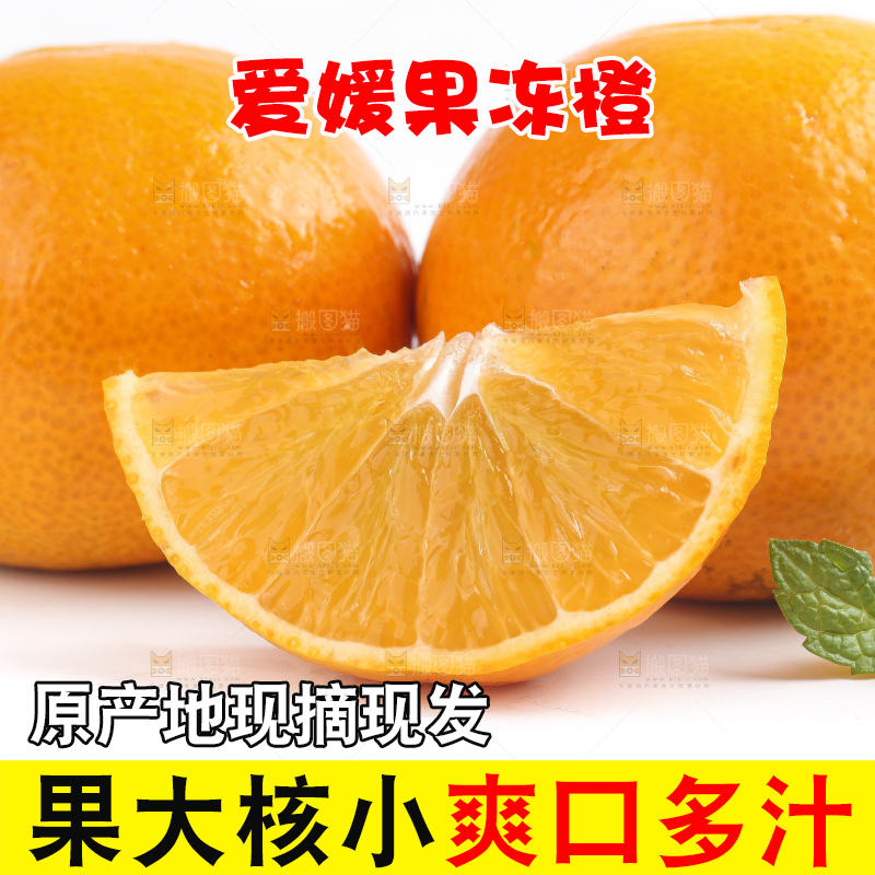 白底上的爱媛果冻橙