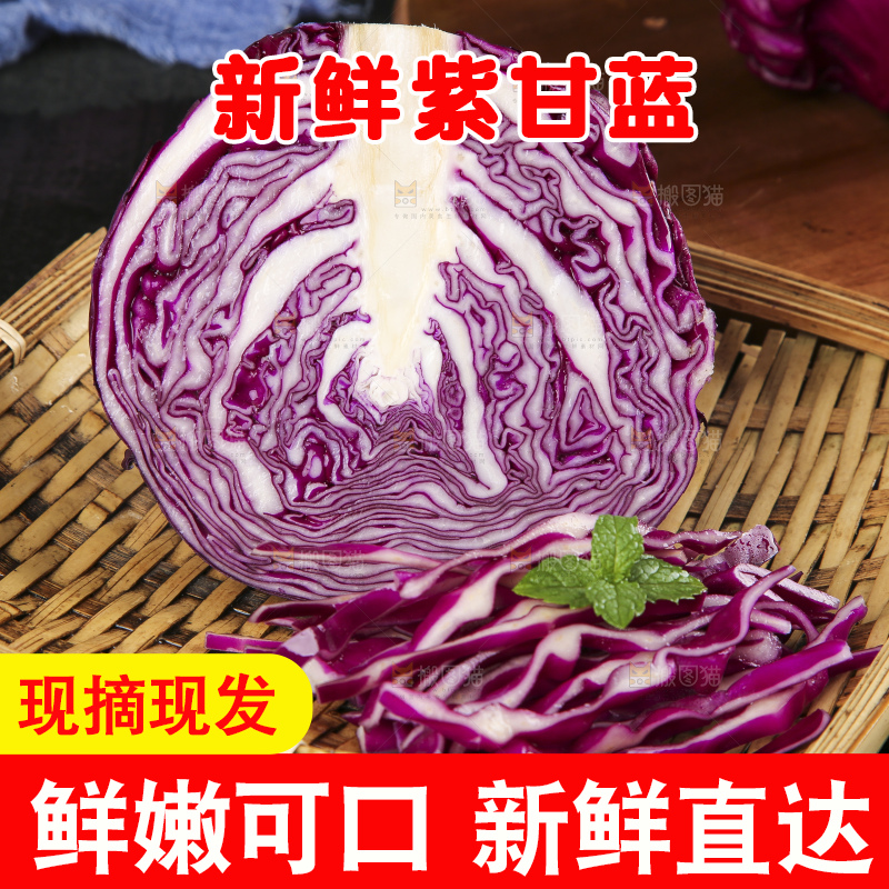 深底上的紫甘蓝