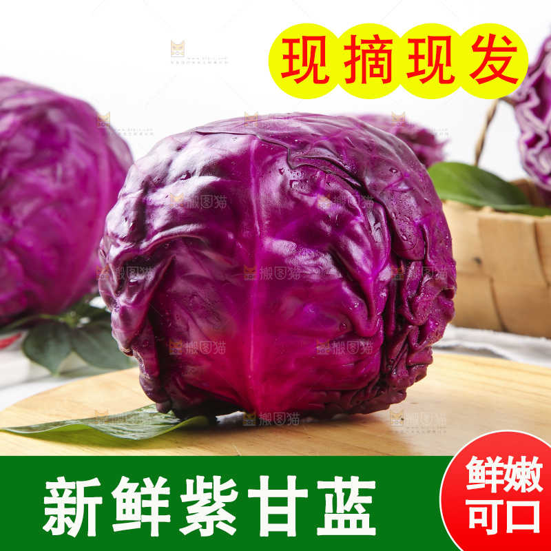 浅底上的紫甘蓝