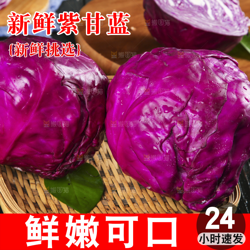 深底上的紫甘蓝