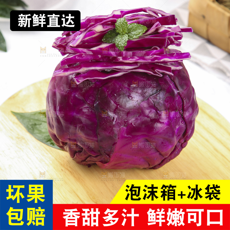 浅底上的紫甘蓝