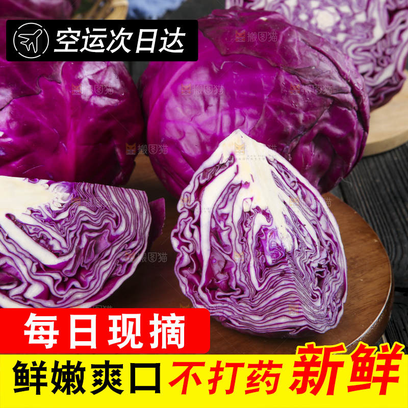 深底上的紫甘蓝