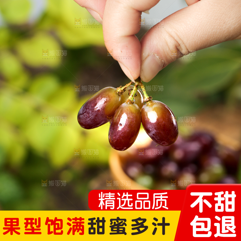 木底上的茉莉香葡萄