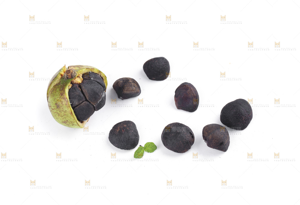 白底上的茶籽