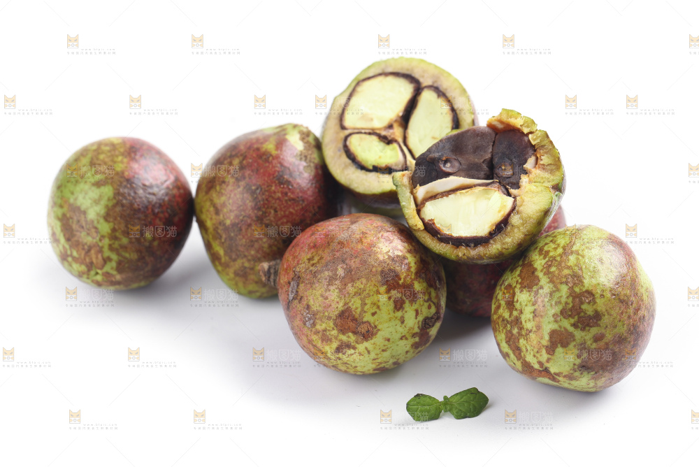 白底上的茶籽