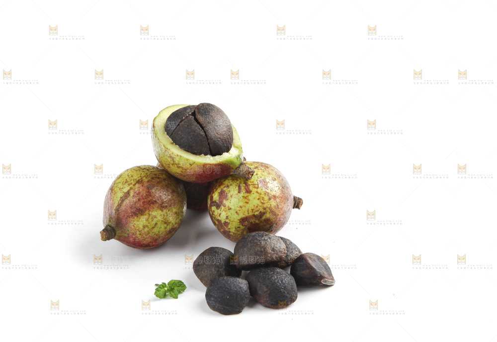 白底上的茶籽