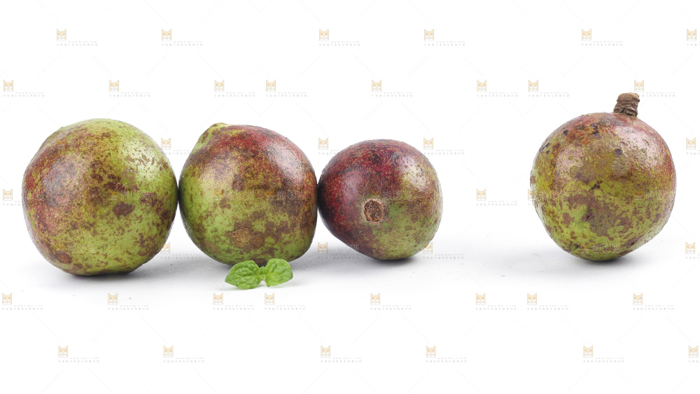 白底上的茶籽