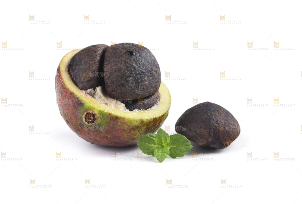 白底上的茶籽