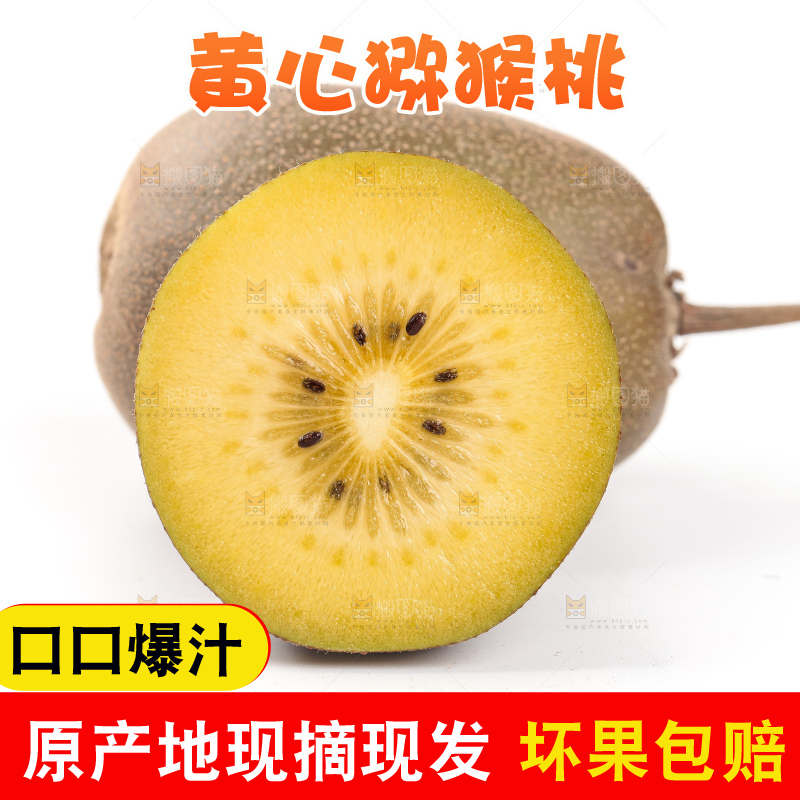 白底上的黄心猕猴桃