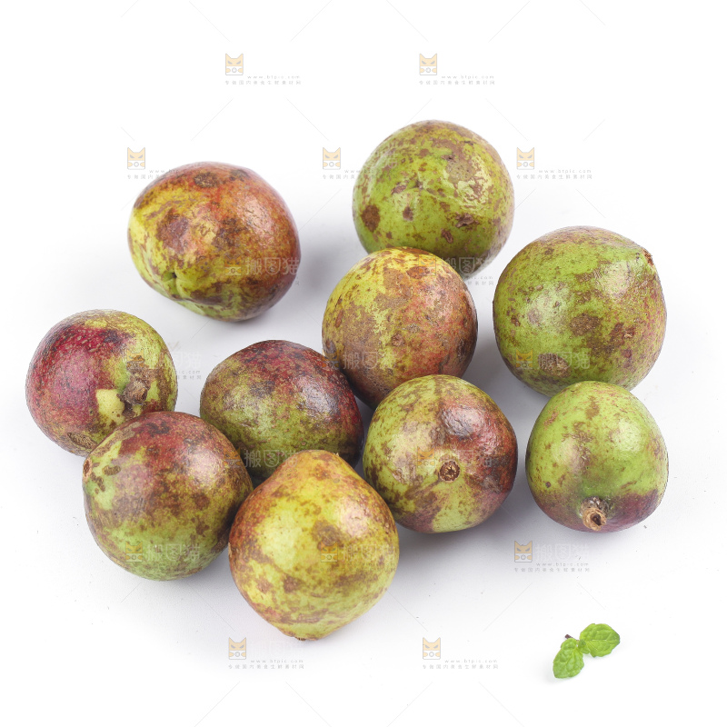 白底上的茶籽