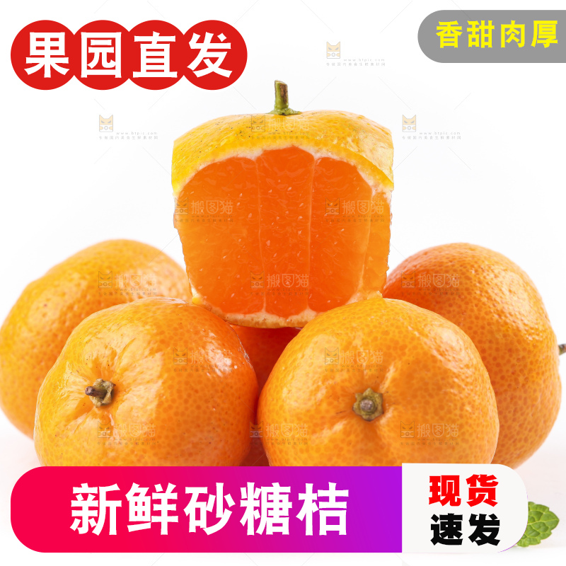 白底上的砂糖桔