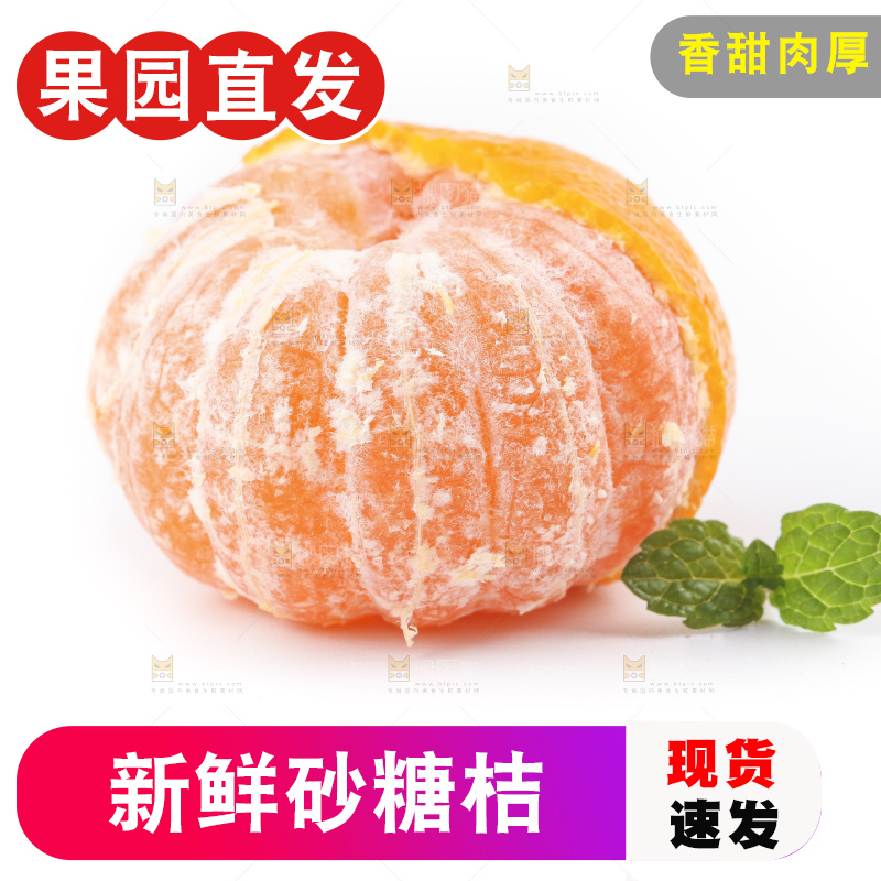 白底上的砂糖桔
