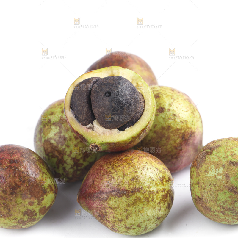 白底上的茶籽