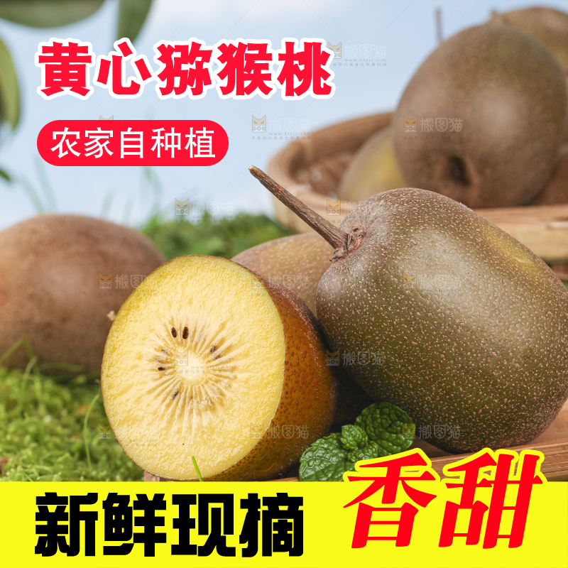 草地上的黄心猕猴桃