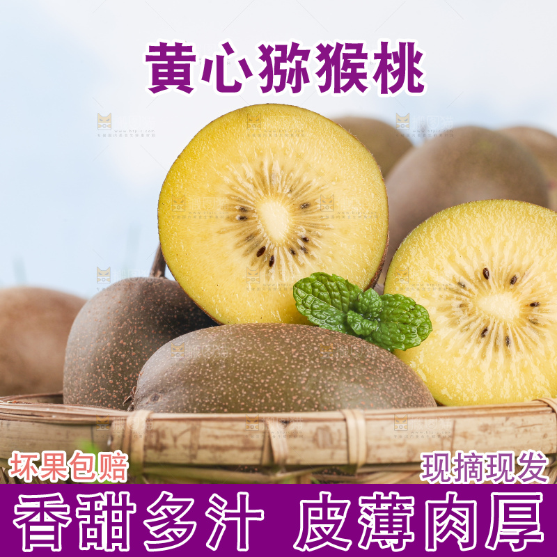 草地上的黄心猕猴桃