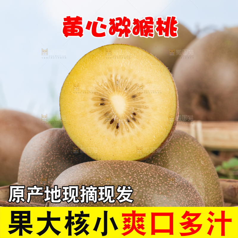 草地上的黄心猕猴桃