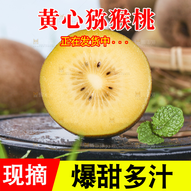 草地上的黄心猕猴桃