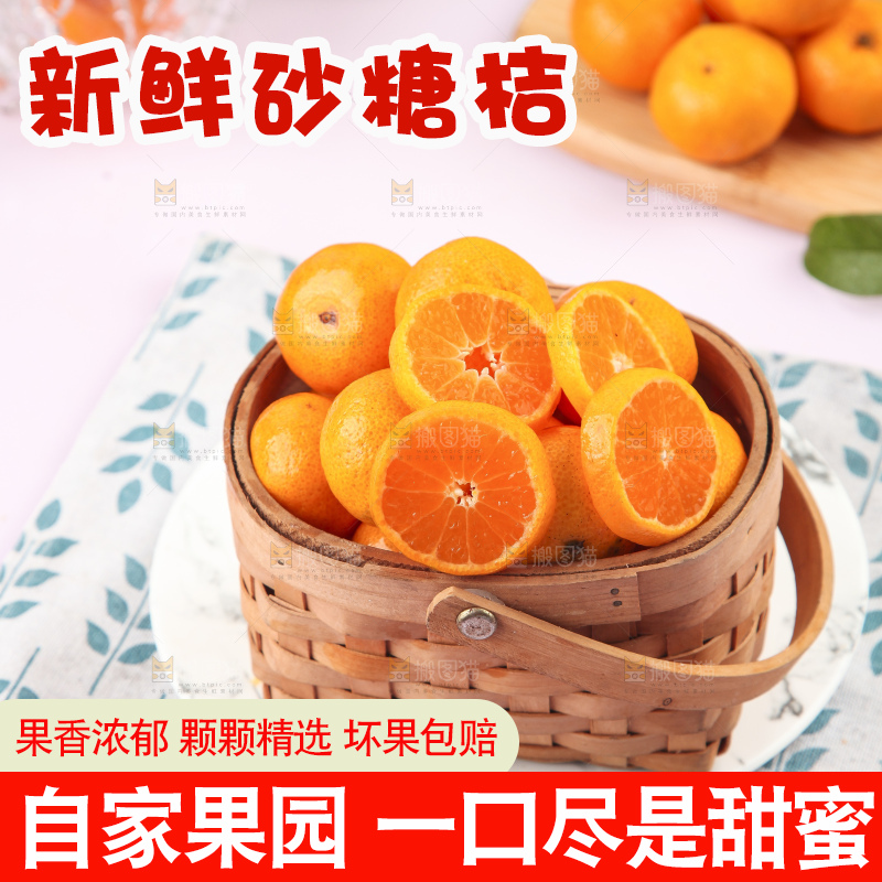 浅底上的沙糖桔