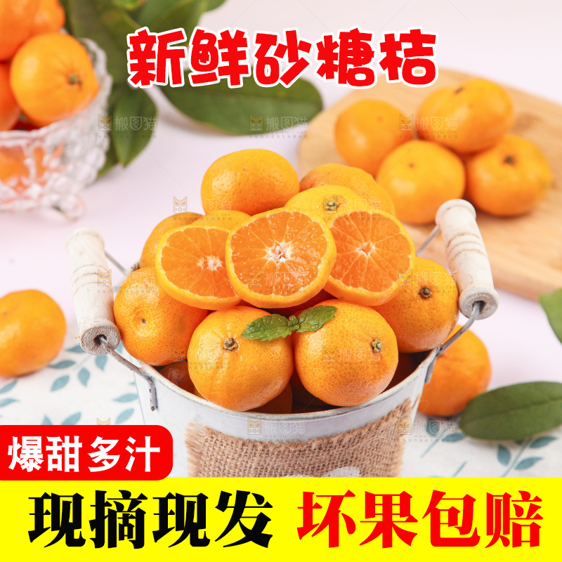 浅底上的沙糖桔