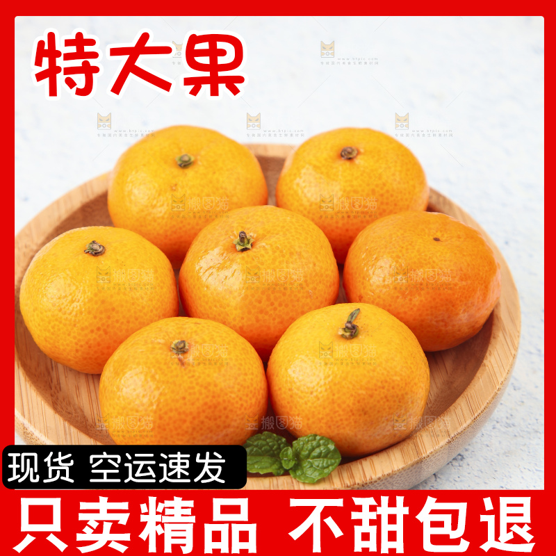 浅底上的沙糖桔