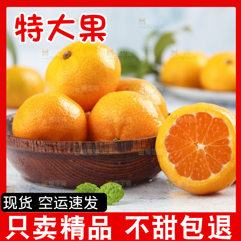 浅底上的沙糖桔