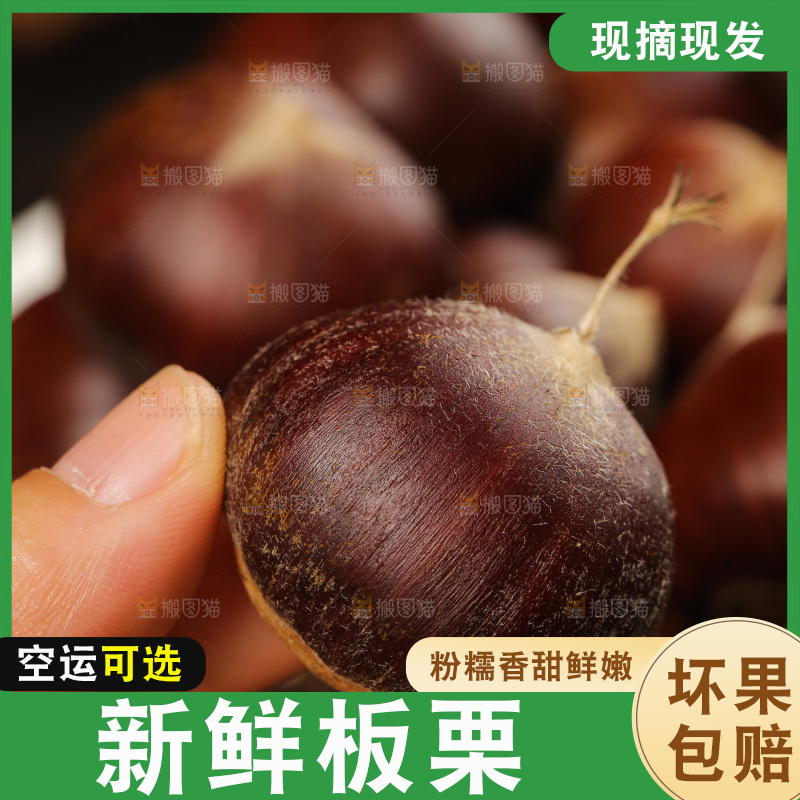 深底上的新鲜板栗