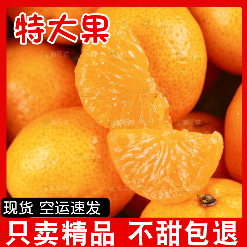 深底上的沙糖桔