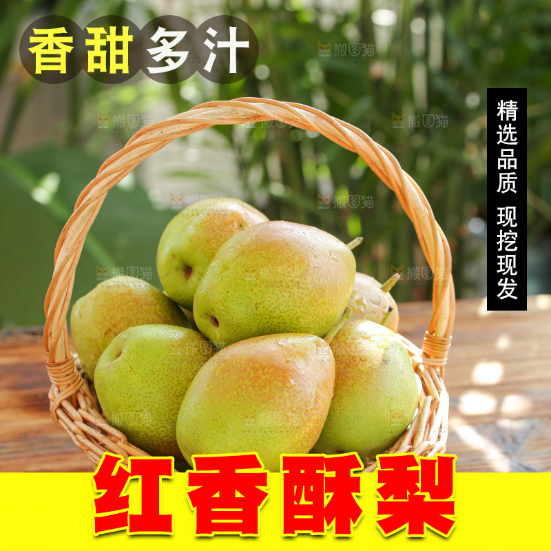 浅底上的红香酥梨