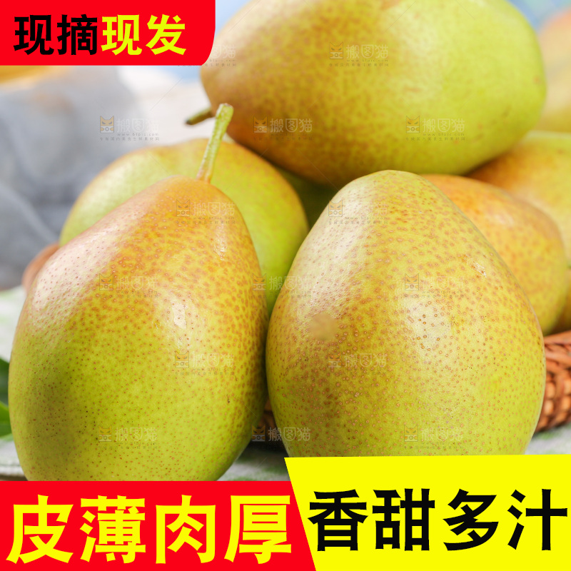 浅底上的红香酥梨