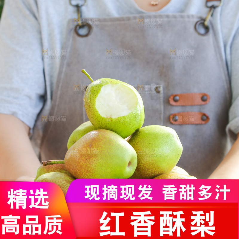 手里拿着红香酥梨
