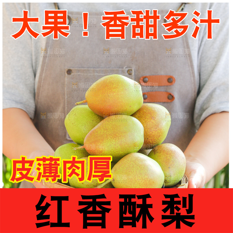 手里拿着红香酥梨