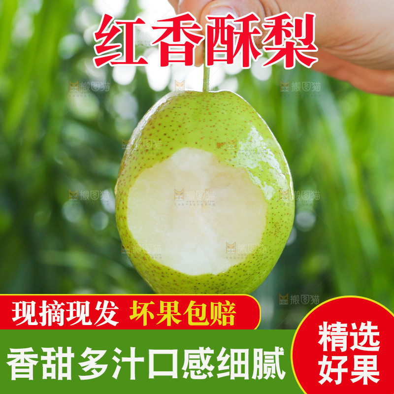 手里拿着红香酥梨