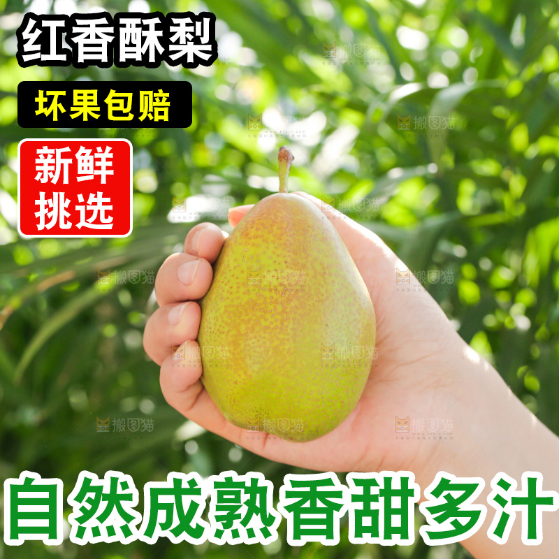手里拿着红香酥梨