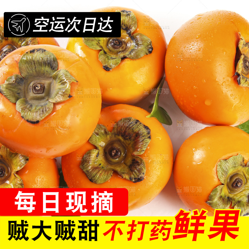 白底上的脆柿