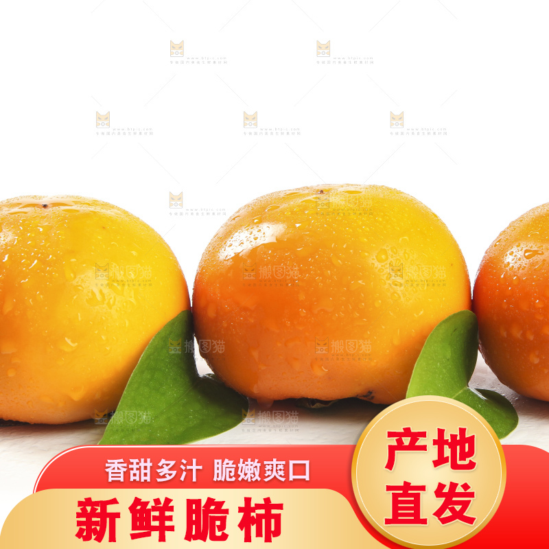 白底上的脆柿